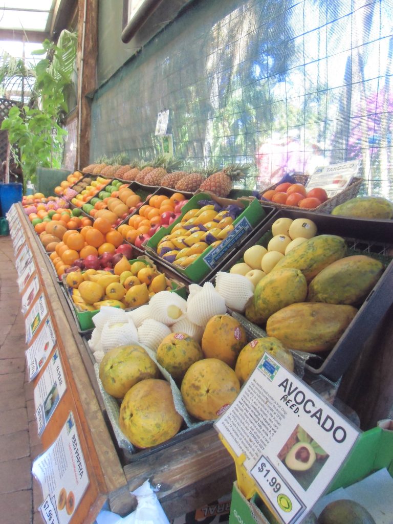 Tropisch Fruit markt Australie